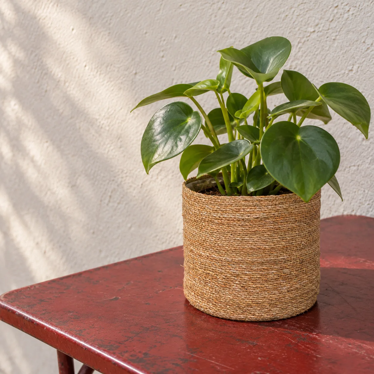 Cubremacetas Gamo natural · 15 × 15 cm