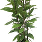 El laurel es un árbol muy apropiado para colocar en terrazas, jardines o parcelas de casas.