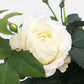 El rosal mini es una planta de porte compacto que destaca por su buena capacidad de floración.